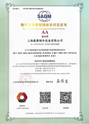 Сертификат системы управления цифровой трансформацией